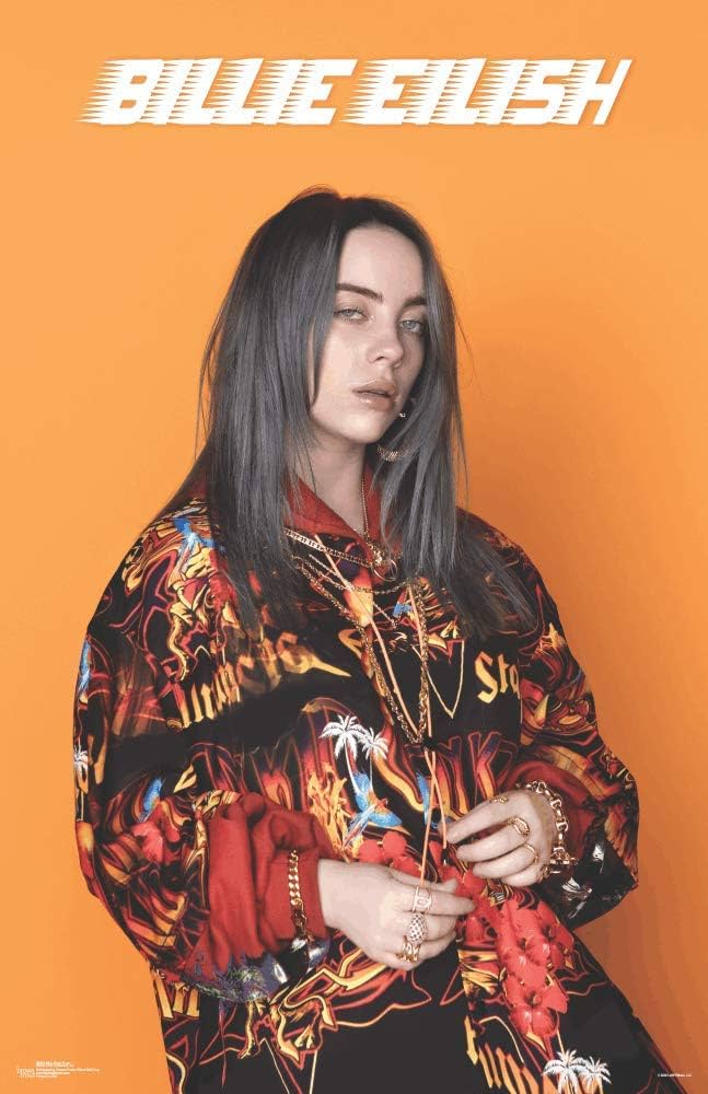 Billie Eilish ポスター 布 u*2様 Billie Eilish 布 ポスター 2025 ビリーアイリッシュ